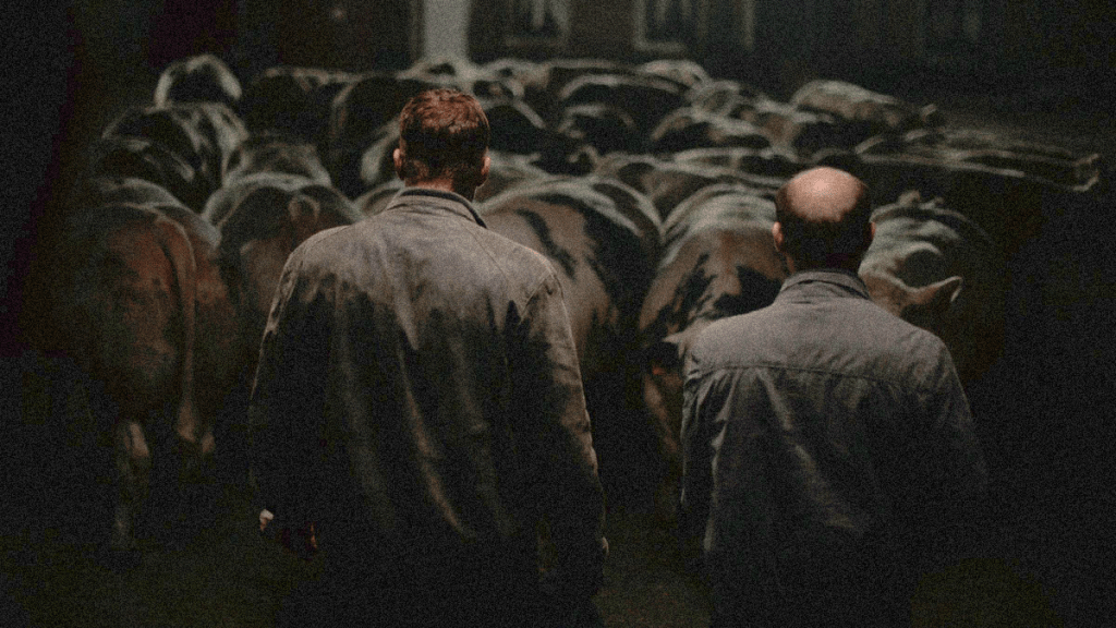 INTERVIEW: Michaël R. Roskam (writer/director) and Matthias Schoenaerts (actor) of&nbsp;Bullhead