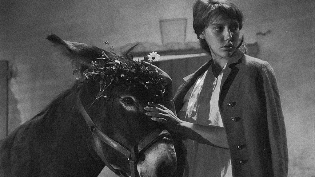 REVIEW: Au hasard Balthazar&nbsp;[1966]