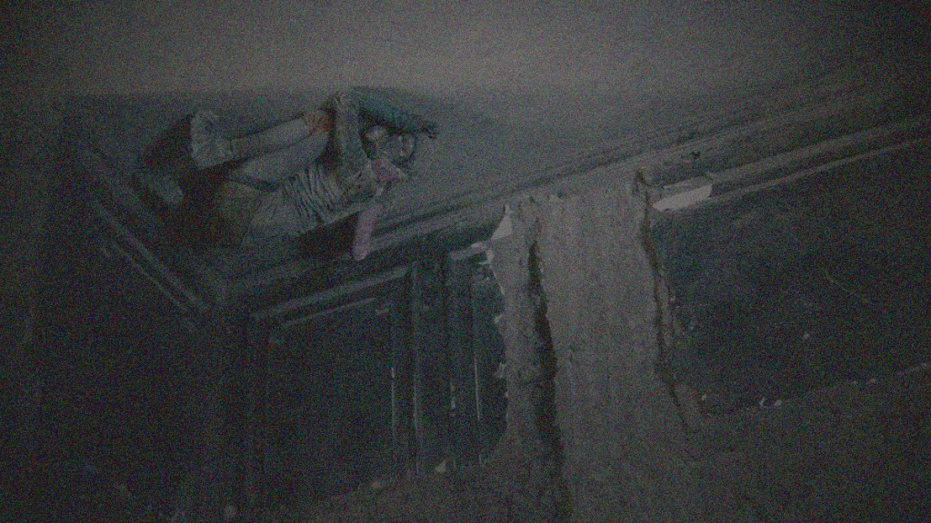 FANTASIA24 REVIEW: Animalia Paradoxa&nbsp;[2024]