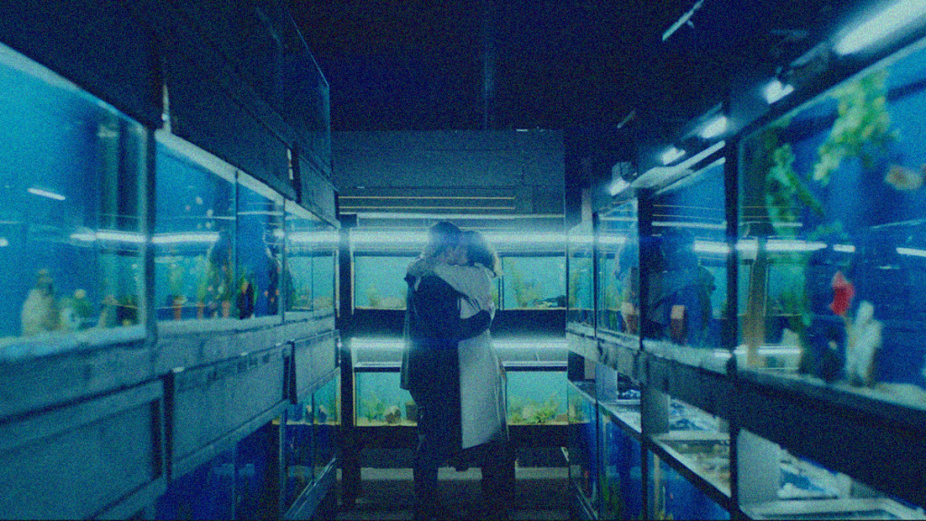 REVIEW: Little Fish&nbsp;[2021]