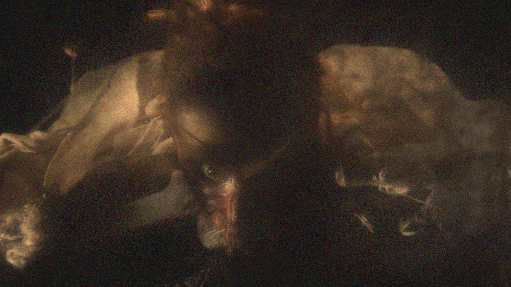 REVIEW: Sanatorium Pod Klepsydrą [Sanatorium Under the Sign of the Hourglass]&nbsp;[2025]