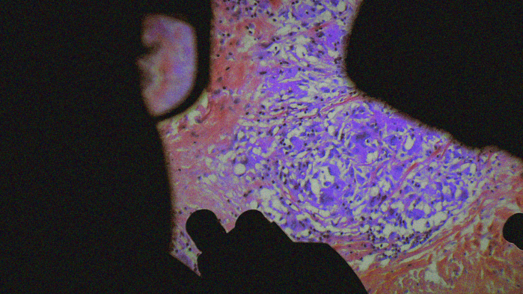 REVIEW: De Humani Corporis Fabrica&nbsp;[2023]