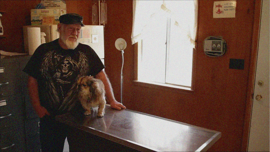 REVIEW: Stray Dog&nbsp;[2015]